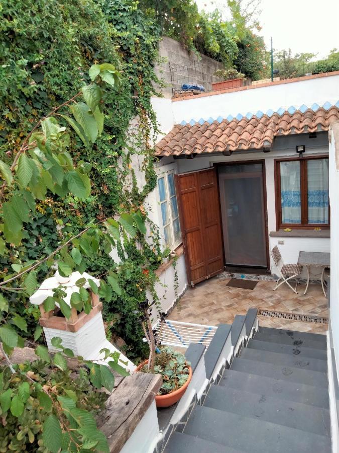 Casa Rustica Apartment Dorgali Bagian luar foto