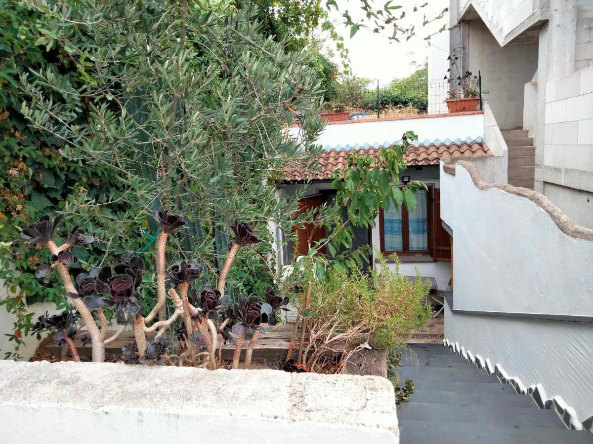 Casa Rustica Apartment Dorgali Bagian luar foto